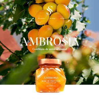Identidad corporativa, Diseño web y diseño gráfico para Ambrossia confituras de autor
